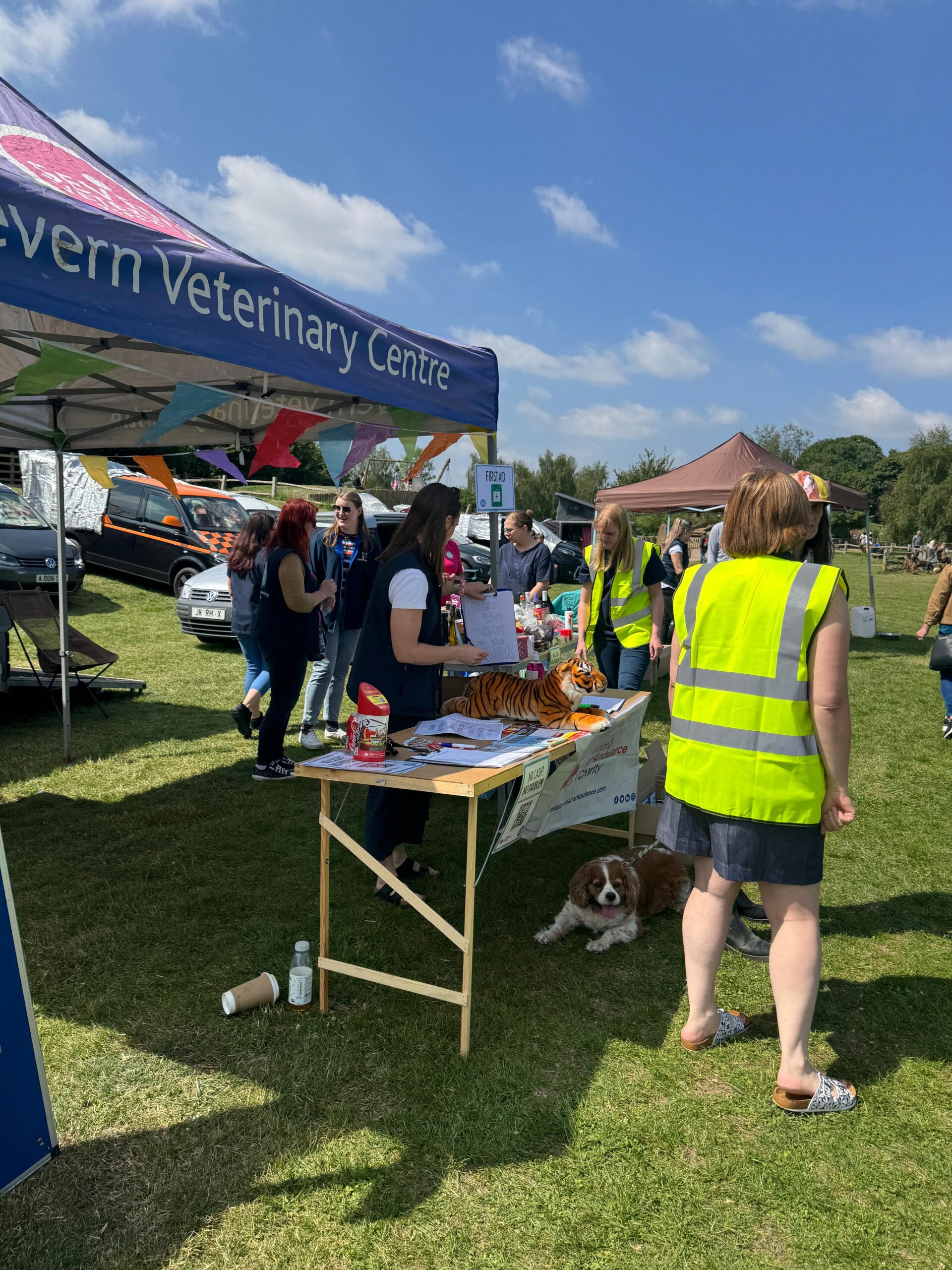 PHOTO-2025-05-18-08-15-18 2